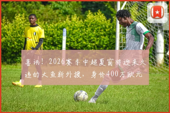 喜讯!2026赛季中超夏窗将迎来久违的大鱼新外援,身价400万欧元