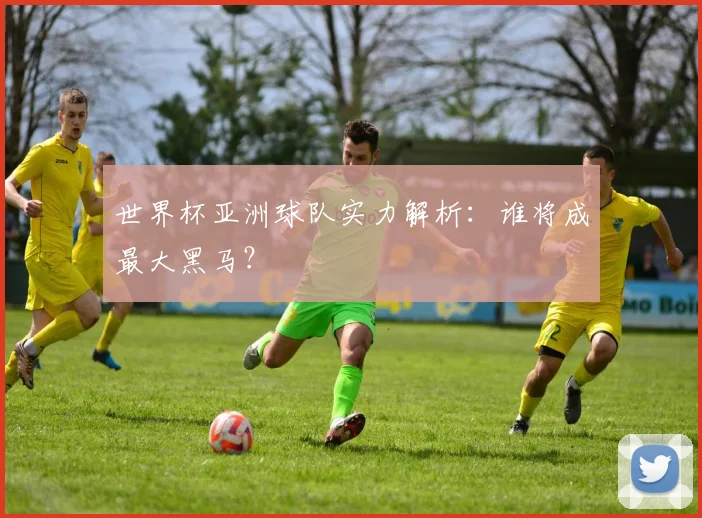 世界杯亚洲球队实力解析：谁将成最大黑马？