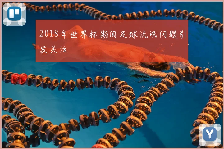 2018年世界杯期间足球流氓问题引发关注