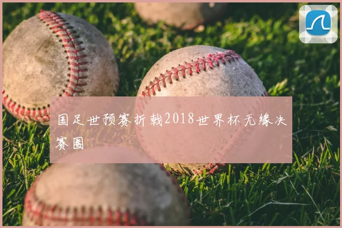 国足世预赛折戟2018世界杯无缘决赛圈