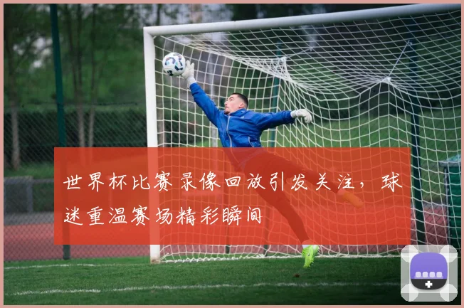世界杯比赛录像回放引发关注,球迷重温赛场精彩瞬间