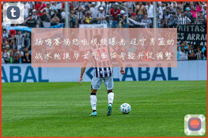 杨鸣赛场怒吼视频曝光 辽宁男篮的战术轮换与士气面临考验并促调整