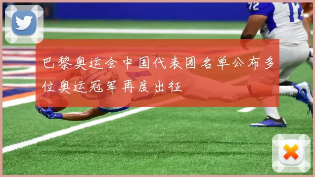 巴黎奥运会中国代表团名单公布多位奥运冠军再度出征