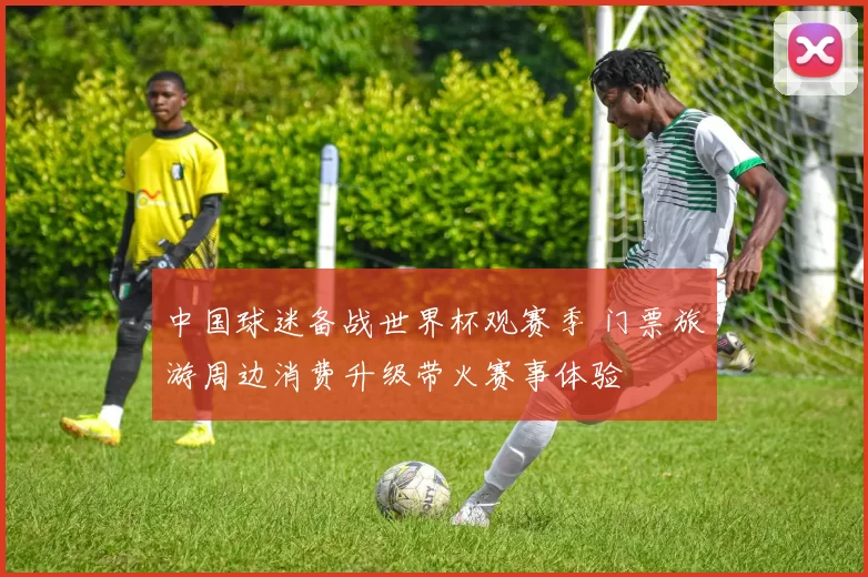 中国球迷备战世界杯观赛季 门票旅游周边消费升级带火赛事体验